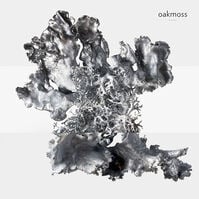 H24 EDP  100ml-207507 H24 EDP  100ml-207507 4